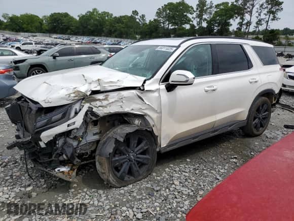 2023 Hyundai Palisade XRT with VIN KM8R34GE3PU544904, listed as a Copart auction lot 56011025 with 110,480 mi miles and Salvage title. Bid and sale history available at DreamBid. Image 1.