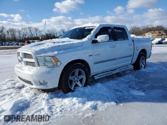 2010 Dodge 1500 Sport с VIN 1D7RV1CT8AS183115, выставлен на аукционе Copart как лот 44805135 с пробегом 131 283 миль миль и Списание • Salvage title. История ставок и продаж доступна на DreamBid. Изображение 1.