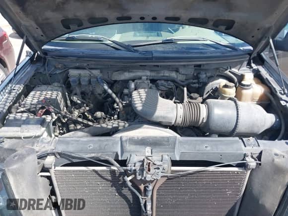 2006 Ford F-150 XLT z VIN 1FTRW12W36KC39410, wystawiony jako IAAI lot #43317165 z przebiegiem 253 342 mil mil oraz . Historia ofert i sprzedaży dostępna na DreamBid. Obrazek 10.