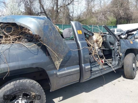 2002 Chevrolet Silverado 1500 LS with VIN 1GCEC14V92Z315175, listed as a IAAI auction lot 41918707 with Not provided miles and . Bid and sale history available at DreamBid. Image 13.