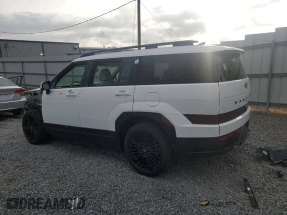 2025 Hyundai Santa Fe Calligraphy с VIN 5NMP54G17SH030623, выставлен на аукционе Copart как лот 50802195 с пробегом 3 076 миль миль и Списание • Salvage title. История ставок и продаж доступна на DreamBid. Изображение 2.