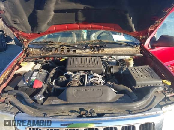 2004 Jeep Grand Cherokee Limited with VIN 1J4GW58N44C232657, listed as a IAAI auction lot 43511895 with 155,786 mi miles and . Bid and sale history available at DreamBid. Image 10.