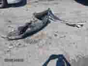 2020 Chevrolet Equinox LS с VIN 3GNAXHEV4LS691492, выставлен на аукционе IAAI как лот 43091250 с пробегом 77 380 миль миль и . История ставок и продаж доступна на DreamBid. Изображение 12.