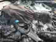 1994 Ford F-150 z VIN 1FTEF14N9RLA81351, wystawiony jako Copart lot #55441735 z przebiegiem Nie podano mil oraz Nie do naprawy • Non repairable. Historia ofert i sprzedaży dostępna na DreamBid. Obrazek 9.