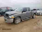 2010 Dodge 1500 SLT with VIN 1D7RB1GP7AS164836, listed as a Copart auction lot 67061605 with 244,153 mi miles and Salvage title. Bid and sale history available at DreamBid. Image 1.