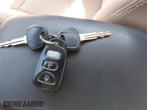 2013 Hyundai Elantra GLS with VIN 5NPDH4AE7DH384086, listed as a IAAI auction lot 42626400 with 335,711 mi miles and . Bid and sale history available at DreamBid. Image 11.