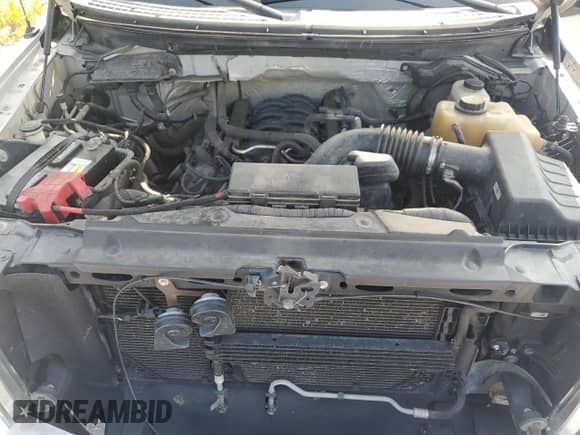 2012 Ford F-150 XL z VIN 1FTFX1EF3CFB89267, wystawiony jako Copart lot #69203925 z przebiegiem 86 756 mil mil oraz Czysty tytuł • Clean title. Historia ofert i sprzedaży dostępna na DreamBid. Obrazek 11.