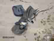 2023 Chevrolet Malibu LT z VIN 1G1ZD5ST0PF140484, wystawiony jako Copart lot #90395055 z przebiegiem 82 403 mil mil oraz Czysty tytuł • Clean title. Historia ofert i sprzedaży dostępna na DreamBid. Obrazek 12.