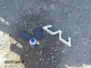 2005 Toyota Corolla CE with VIN JTDBR32EX52061960, listed as a IAAI auction lot 43504350 with 224,661 mi miles and . Bid and sale history available at DreamBid. Image 12.