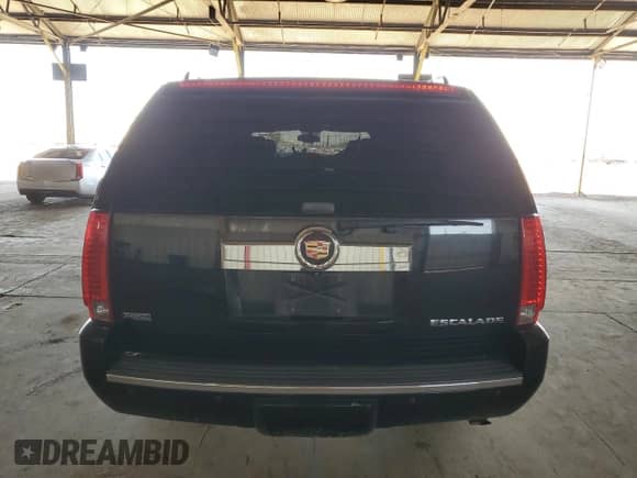 2010 Cadillac Escalade ESV Premium with VIN 1GYUKJEF5AR100794, listed as a Copart auction lot 61217194 with Not provided miles and Salvage title. Bid and sale history available at DreamBid. Image 6.