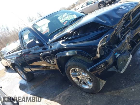2002 Dodge Dakota with VIN 1B7FL36Z12S658751, listed as a IAAI auction lot 41678588 with 47,685 mi miles and . Bid and sale history available at DreamBid. Image 14.