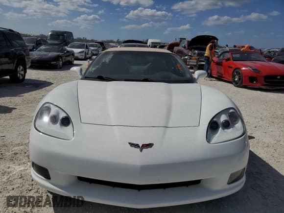 2008 Chevrolet Corvette with VIN 1G1YY36W685129361, listed as a Copart auction lot 76191484 with Not provided miles and Salvage title. Bid and sale history available at DreamBid. Image 5.