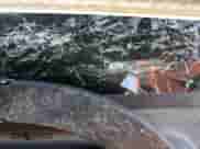 2018 Chevrolet Colorado 2WD LT с VIN 1GCHSCEA9J1165735, выставлен на аукционе Copart как лот 56942795 с пробегом Не указан миль и Списание • Salvage title. История ставок и продаж доступна на DreamBid. Изображение 12.