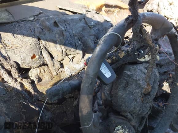 2014 Hyundai Elantra with VIN KMHDH6AH7EU027077, listed as a IAAI auction lot 42883726 with Not provided miles and . Bid and sale history available at DreamBid. Image 7.