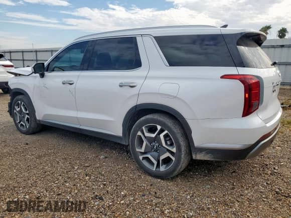 2024 Hyundai Palisade SEL with VIN KM8R44GE7RU788619, listed as a Copart auction lot 80677015 with 13,195 mi miles and Salvage title. Bid and sale history available at DreamBid. Image 2.