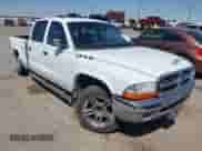 2004 Dodge Dakota SLT with VIN 1D7HL48K34S758499, listed as a IAAI auction lot 42035062 with 145,305 mi miles and . Bid and sale history available at DreamBid. Image 1.