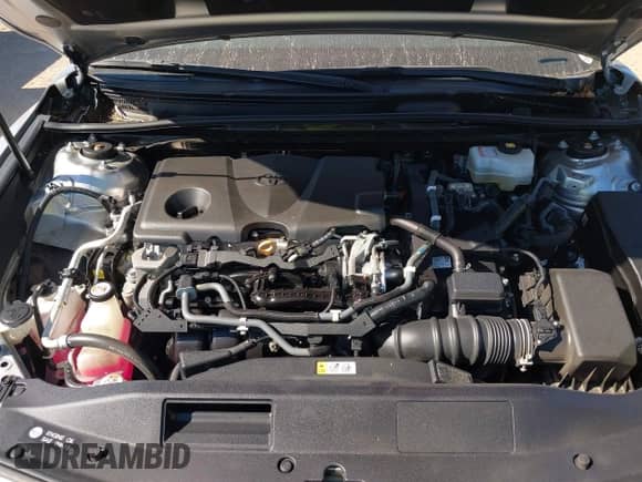 2019 Toyota Camry Hybrid LE с VIN 4T1B31HKXKU513646, выставлен на аукционе IAAI как лот 43451632 с пробегом 30 058 миль миль и . История ставок и продаж доступна на DreamBid. Изображение 10.