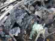 1993 Chevrolet Corvette с VIN 1G1YY23P6P5108354, выставлен на аукционе Copart как лот 79802274 с пробегом Не указан миль и Списание • Salvage title. История ставок и продаж доступна на DreamBid. Изображение 9.