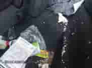 2010 Subaru Forester X z VIN JF2SH6ACXAH716230, wystawiony jako IAAI lot #43478350 z przebiegiem 223 938 mil mil oraz . Historia ofert i sprzedaży dostępna na DreamBid. Obrazek 13.