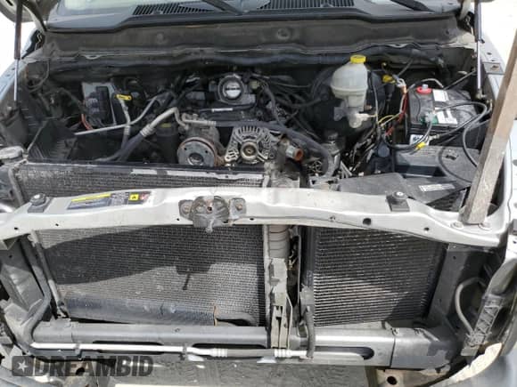 2004 Dodge 1500 ST z VIN 1D7HA16K74J162891, wystawiony jako Copart lot #80694195 z przebiegiem 137 842 mil mil oraz Czysty tytuł • Clean title. Historia ofert i sprzedaży dostępna na DreamBid. Obrazek 11.