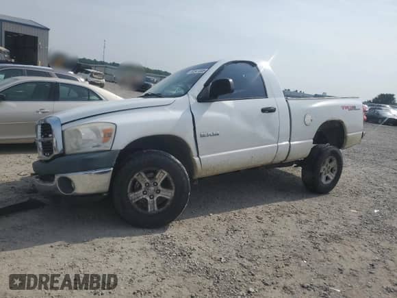2008 Dodge 1500 ST with VIN 1D7HU16N48J176965, listed as a Copart auction lot 60341005 with Not provided miles and Salvage title. Bid and sale history available at DreamBid. Image 1.