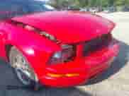 2005 Ford Mustang Deluxe with VIN 1ZVFT80N955239002, listed as a IAAI auction lot 42837564 with 144,388 mi miles and . Bid and sale history available at DreamBid. Image 6.