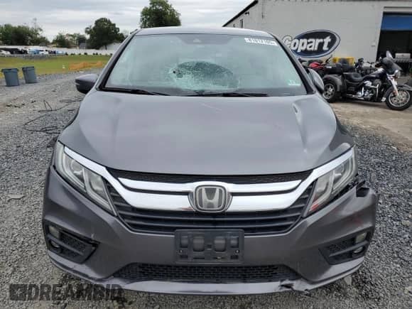 2019 Honda Odyssey EX with VIN 5FNRL6H53KB034326, listed as a Copart auction lot 81012105 with 90,266 mi miles and Salvage title. Bid and sale history available at DreamBid. Image 5.