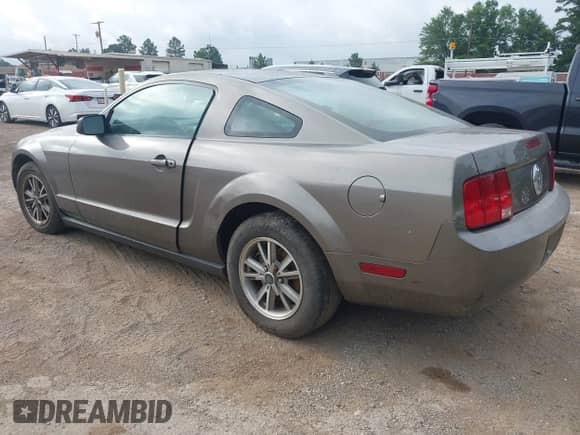 2005 Ford Mustang Deluxe с VIN 1ZVFT80N255121745, выставлен на аукционе IAAI как лот 42540069 с пробегом Не указан миль и . История ставок и продаж доступна на DreamBid. Изображение 3.