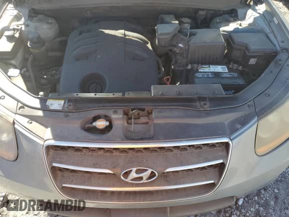 2009 Hyundai Santa Fe Limited с VIN 5NMSH13E29H332355, выставлен на аукционе Copart как лот 82638695 с пробегом 227 569 миль миль и Чистый • Clean title. История ставок и продаж доступна на DreamBid. Изображение 12.