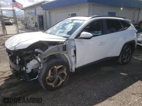 2024 Hyundai Tucson SEL with VIN 5NMJF3DEXRH389317, listed as a Copart auction lot 81228625 with 5,389 mi miles and Salvage title. Bid and sale history available at DreamBid. Image 1.