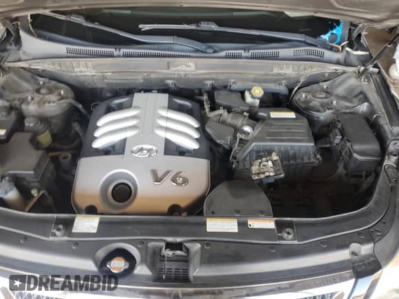 2007 Hyundai Veracruz GLS with VIN KM8NU13C47U024418, listed as a Copart auction lot 84458725 with Not provided miles and Salvage title. Bid and sale history available at DreamBid. Image 11.