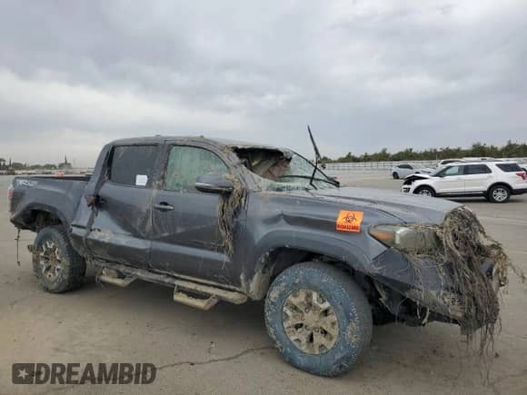 2021 Toyota Tacoma SR with VIN 3TMCZ5AN8MM446037, listed as a Copart auction lot 80966695 with Not provided miles and Salvage title. Bid and sale history available at DreamBid. Image 4.