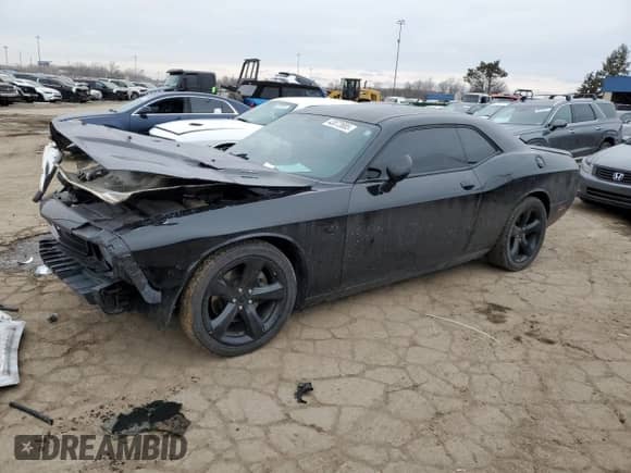 2014 Dodge Challenger R/T Plus with VIN 2C3CDYBT7EH250351, listed as a Copart auction lot 43872685 with 53,080 mi miles and Clean title. Bid and sale history available at DreamBid. Image 1.