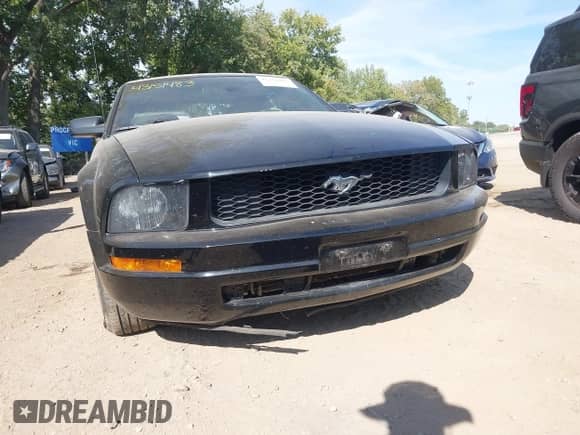 2006 Ford Mustang Standard с VIN 1ZVFT84N865148718, выставлен на аукционе IAAI как лот 43151483 с пробегом 117 522 миль миль и . История ставок и продаж доступна на DreamBid. Изображение 6.