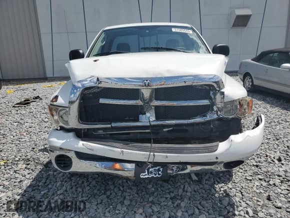 2003 Dodge 1500 ST with VIN 1D7HA16D93J599159, listed as a Copart auction lot 51585045 with 221,489 mi miles and Salvage title. Bid and sale history available at DreamBid. Image 5.