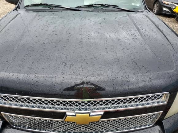 2009 Chevrolet Avalanche 1LT with VIN 3GNEC22J39G175292, listed as a Copart auction lot 61447155 with Not provided miles and Salvage title. Bid and sale history available at DreamBid. Image 12.