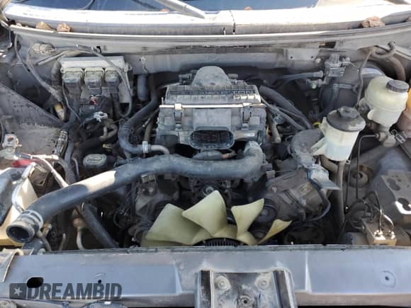 2005 Ford F-150 XL z VIN 1FTRF12295NA47743, wystawiony jako Copart lot #81907345 z przebiegiem 224 506 mil mil oraz Czysty tytuł • Clean title. Historia ofert i sprzedaży dostępna na DreamBid. Obrazek 11.