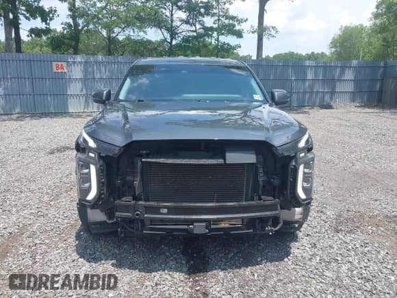 2022 Hyundai Palisade SE z VIN KM8R1DHE5NU424507, wystawiony jako IAAI lot #42589807 z przebiegiem 145 586 mil mil oraz . Historia ofert i sprzedaży dostępna na DreamBid. Obrazek 12.