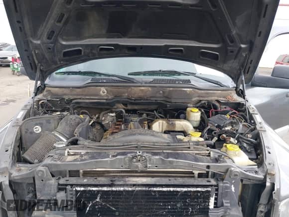 2003 Dodge RAM with VIN 3D3KU28653G715820, listed as a IAAI auction lot 41815230 with 252,484 mi miles and . Bid and sale history available at DreamBid. Image 10.