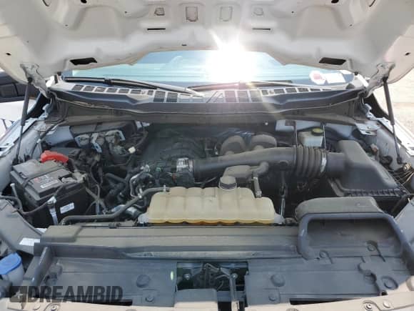 2021 Ford F-150 XL с VIN 1FTEX1CB9MKE32021, выставлен на аукционе Copart как лот 57315915 с пробегом 43 942 миль миль и Списание • Salvage title. История ставок и продаж доступна на DreamBid. Изображение 11.