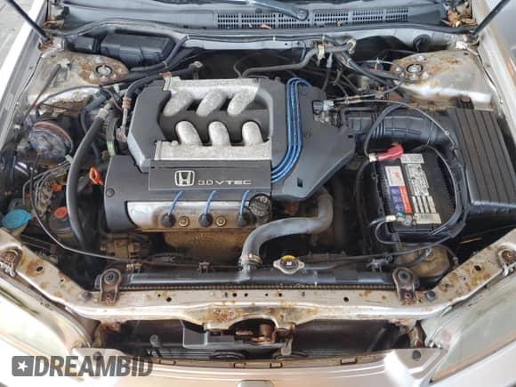 1998 Honda Accord EX with VIN 1HGCG1655WA062502, listed as a Copart auction lot 81647555 with 120,642 mi miles and Clean title. Bid and sale history available at DreamBid. Image 11.