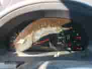 2007 Honda Odyssey EX with VIN 5FNRL38417B093551, listed as a Copart auction lot 84457845 with 239,200 mi miles and Salvage title. Bid and sale history available at DreamBid. Image 9.