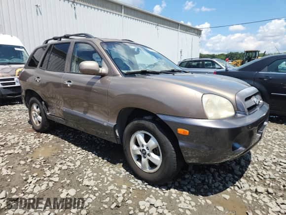 2005 Hyundai Santa Fe GLS with VIN KM8SC73E25U960559, listed as a Copart auction lot 65010795 with 173,036 mi miles and Salvage title. Bid and sale history available at DreamBid. Image 4.