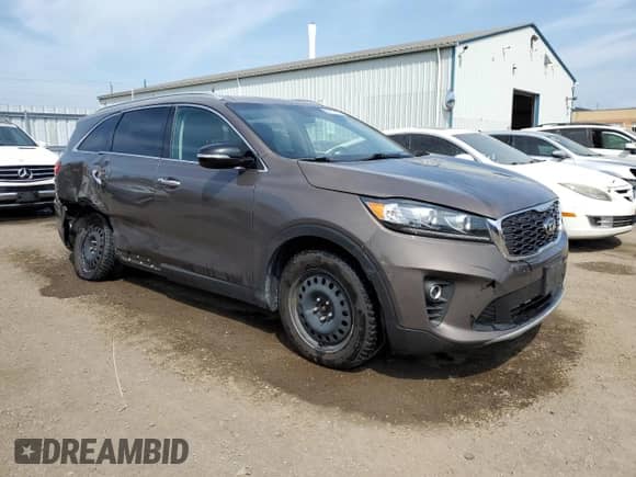 2019 Kia Sorento EX with VIN 5XYPHDA39KG597881, listed as a Copart auction lot 59719525 with 113,263 mi miles and Clean title. Bid and sale history available at DreamBid. Image 4.