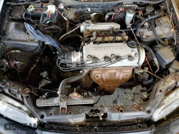 1996 Honda Civic с VIN 2HGEH3384SH502267, выставлен на аукционе Copart как лот 81649014 с пробегом 232 328 миль миль и Списание • Salvage title. История ставок и продаж доступна на DreamBid. Изображение 11.