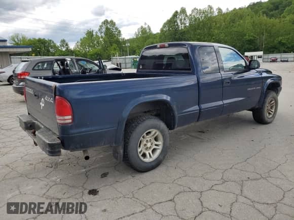 2002 Dodge Dakota with VIN 1B7GG32X32S546515, listed as a Copart auction lot 57888695 with 81,202 mi miles and Salvage title. Bid and sale history available at DreamBid. Image 3.