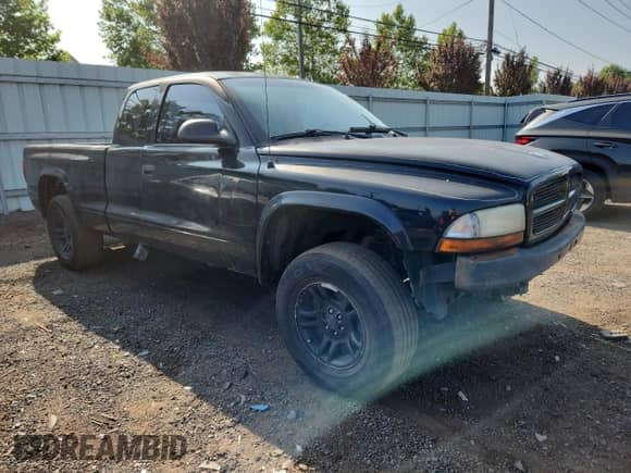 2001 Dodge Dakota with VIN 1B7GG22X91S113726, listed as a Copart auction lot 65792155 with 249,280 mi miles and Salvage title. Bid and sale history available at DreamBid. Image 4.