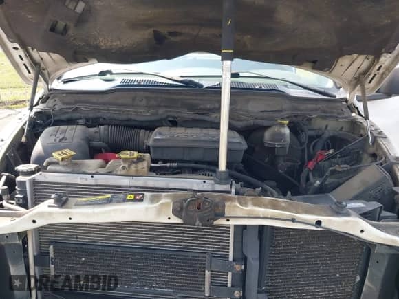 2007 Dodge 1500 SLT z VIN 1D7HU18P37J507399, wystawiony jako IAAI lot #42434882 z przebiegiem 327 245 mil mil oraz . Historia ofert i sprzedaży dostępna na DreamBid. Obrazek 10.