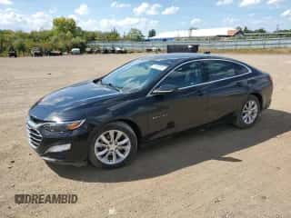 2019 Chevrolet Malibu LT с VIN 1G1ZD5ST3KF106614, выставлен на аукционе Copart как лот 71510515 с пробегом 80 993 миль миль и Списание • Salvage title. История ставок и продаж доступна на DreamBid. Изображение 1.