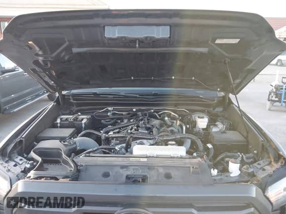 2024 Toyota Tacoma SR5 z VIN 3TMLB5JN8RM080821, wystawiony jako IAAI lot #43198796 z przebiegiem 13 169 mil mil oraz . Historia ofert i sprzedaży dostępna na DreamBid. Obrazek 10.